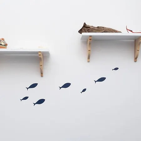 Beach Shell House Casa de Férias Cortegaca (Aveiro)